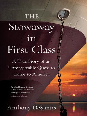 cover image of The Stowaway in First Class